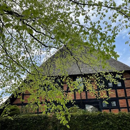 Ferienwohnung St. Dionyser Heidedorf Sankt Dionys Екстериор снимка